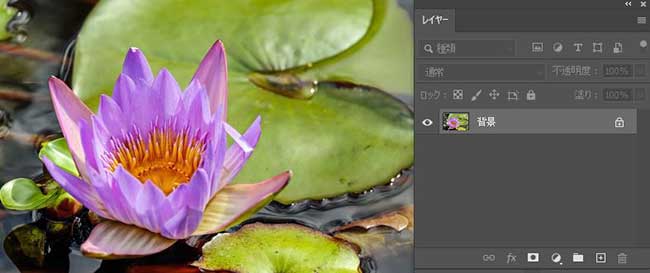 Photoshop 一眼レフみたいに背景を手前から後方にぼかす デイレコ Dairyrecord Blog Photoshop 一眼レフみたいに背景を手前から後方にぼかす デイレコ Dairyrecord Blog